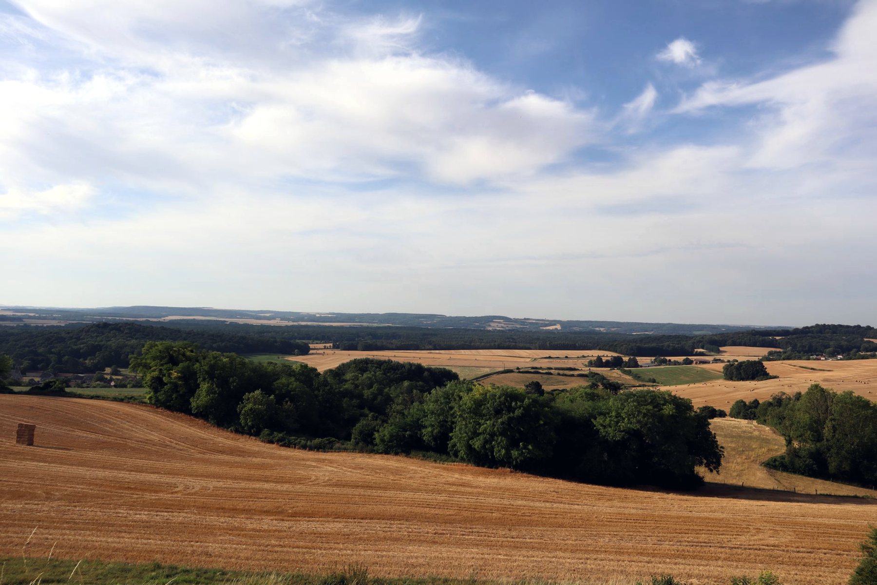 Champs et bois du plateau briard sous un grand ciel
